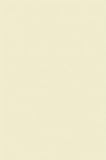 Netuno 50x Druckerpapier Creme DIN A5 148×210 mm 120g Olin Cream Kopier-Papier...