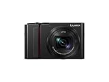 Panasonic DC-TZ202DEGK Travelzoom Kamera (1-Zoll Sensor, 15x Opt. Zoom, Leica...