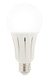 Luminea LED Tageslichtlampe E27: High-Power-LED-Lampe E27, 23 Watt, 2.400 Lumen,...