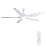 Newday Deckenventilator mit Beleuchtung und Fernbedienung, 60-1015 153CM Leise...