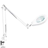 Beyamz 5X LED-Lupenleuchte mit dimmbarem Licht – Arbeitsleuchte mit 105 mm...