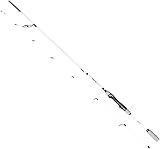FISHN PredatorOne Angelrute 2,40m, 20-80g, Angelrute –Spinnrute –Steckrute...