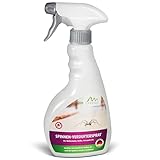 GARDIGO® Spinnenvertreiber Spinnenspray I Insektenspray zur präventiven...