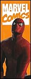 Komar Marvel Vlies Fototapete - Spider-Man Comic - Größe: 100 x 250 cm (Breite x Höhe)...