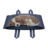 CGACCSD Schatulle für Hunde, Katzen, Kaninchen, Kätzchen | Transportbox für kleine,...