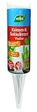 Westland Kakteen & Sukkulenten Vitalkur, 40 ml – Pflanzendünger für gesundes...