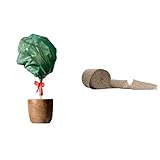 Windhager Wintervlies, Thermovlies, Kälteschutz, Frostschutz für Pflanzen, grün, 1,6 x...