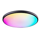 Generisch Spülenhalterende Deckenleuchte, Leuchten Deckenmontage - Dimmbare Lampe 4 Modi...