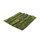 EPIGEIST Aquarium Rückwand Dekoration Landschaftsbark Langlebig Naturgetreu für...