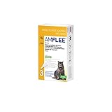 Amflee Spot On für Katzen gegen Flöhe & Zecken, Fipronil, 50 mg Lösung zum Auftropfen,...