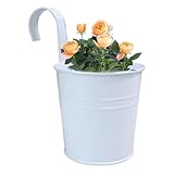 Générique Blumentöpfe zum Aufhängen, Zaunelement | Hängetöpfe mit abnehmbaren Haken...