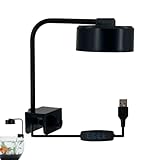 Générique LED-Beleuchtung für Aquarium – intensive Beleuchtung für Fischbecken | 3...