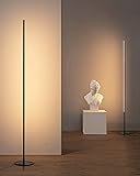 EDISHINE 2 Stück Stehlampe Wohnzimmer, LED Stehlampe Dimmbar, Stehleuchte Modern mit...