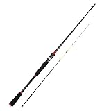 DIANMU Baitcasting-Angelrute | Angelrute Strand Angelrute,Empfindliche Wurfrute...