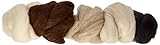 Rayher 53879000 Reine Schurwolle, Kammzug, Filzwolle, 5 Farben à 25 g,...