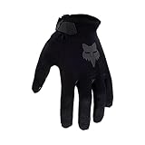 Fox Racing Absolute Pullover Hoodie, XXL, Schwarz