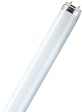 Leuchtstofflampe L 30 Watt 865 Tageslicht - Osram 30W
