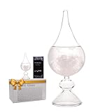 Sturmglas Wettervorhersage- Storm Glass Kristall-Schneekugel Wetterstation...