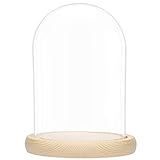 BELLE VOUS Glas Glocke Glaskuppel Groß mit Holzboden – 20cm Dekorative Glashaube als...