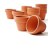 meindekoartikel 20 Tontöpfe Blumentopf Pflanztopf wiederverwendbar witterungsbeständig...