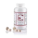 CaniMove multivital (100 Vitamintabletten für Hunde) | B-Komplex, A, C, D3, E...