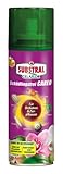 Substral Celaflor Schädlingsfrei Careo für Orchideen & Zierpflanzen, Pumpspray gegen...