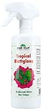PERYCUT BLATTGLANZ 500 ml - gibt Blättern natürlichen, strahlenden Glanz....