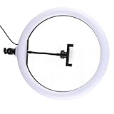 Ringlicht, Tragbar, 10 W, 13 Zoll, 3000–6000 K, LED-Selfie-Ringlicht, USB-Stecker,...