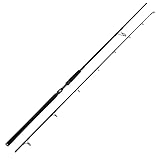 Westin W3 Powercast 2ND XH 248cm 20-80g - Spinnrute für Hecht, Blinkerrute, Hechtrute zum...
