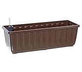 Dehner Blumenkasten Aqua-Flor Plus mit Bewässerungssystem, ca. 58.5 x 22 x 19...