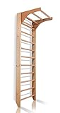 Kletterwand, Sprossenwand, Holz Turnwand Kombi-1-220 Klettergerüst Indoor, Kletterturm,...