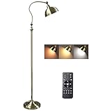 ACMHNC Stehleuchte Vintage Dimmbar, Retro Bronze Industrial Stehlampe, Augenschutz LED...