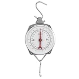 QWORK® hängewaage, kofferwaage mit haken, Grau, 200 kg