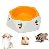 Nager Keramikschale Carrot Hamster Napf Keramik Igel Futterschale Futternapf Kaninchen...