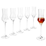 MamboCat 6er Set Specials Spirits Grappa-Gläser I 30ml, Höhe 20,5cm I für 6 Personen I...