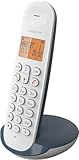 Logicom ILOA 150 Schnurloses Festnetztelefon ohne Anrufbeantworter – Solo – analoge...
