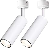 SSDDLZEQ Beleuchtung Robuste LED-Deckenstrahler, oberflächenmontierter Wandstrahler,...