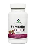 Forskolin Forte Extrakt 400 mg 60 Kapseln Indische Brennnessel Gesunder schneller...