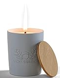 VON STEINEICH® XXL Outdoor Kerze Windfest | 30h Brenndauer - 1,2kg | Extrem...