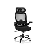 hjh OFFICE XXL Drehstuhl bis 220 kg belastbar Instructor SW I PRO Stuhl...