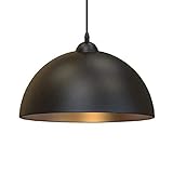 AMEERR Retro-Licht-Pendelleuchte E27 Einzelkopf-Pendelleuchte Kleine Hängelampe Aus...
