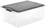 Rotho Compact Aufbewahrungsbox 38l mit Deckel, Kunststoff, Transparent/Anthrazit