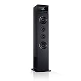 auna Karaboom 100 Standlautsprecher - Turmlautsprecher Bluetooth mit DAB, DAB+...