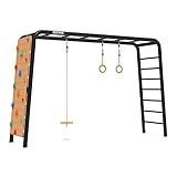 BERG PlayBase Large TL 3-in-1 mit Gestell, Leiter, Schaukelscheibe, Drehringe und...