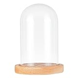 nbeads Deko Glasglocke mit Holzboden, Transparente Glasbox Glas-Display Klare Dekorative...