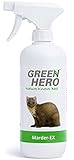 Green Hero Marder-Ex Spray gegen Marderverbiss, 500 ml, Fernhaltemittel gegen Marder für...