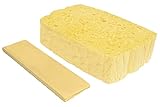Spontex Quellschwamm aus 100 % biologisch abbaubarer Zellulose, 1 x 10er Pack, in...