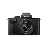 Panasonic Lumix DC-G100DKEGK Micro Four Thirds spiegellose Kamera mit Lumix G Vario 12-32...
