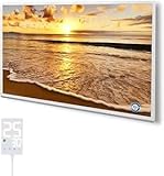 Hocosyme Infrarotheizung Bild 500 Watt, Infrarotheizung Wandmontage mit...