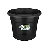 elho Green Basics Tomatentopf 33 - Blumentopf für Außen Züchten Und Ernten -...